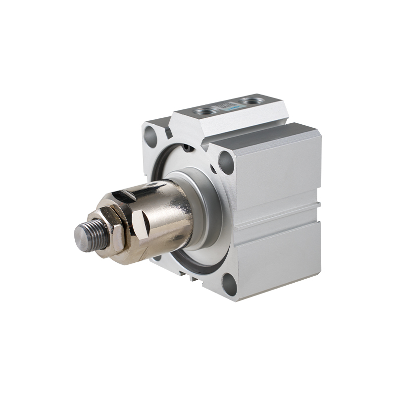 SDAJ Series Tenuis Novifacta Stroke Cylindri